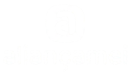 Logo Footer